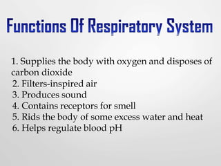 1. Supplies the body with oxygen and disposes of
carbon dioxide
2. Filters-inspired air
3. Produces sound
4. Contains receptors for smell
5. Rids the body of some excess water and heat
6. Helps regulate blood pH
 