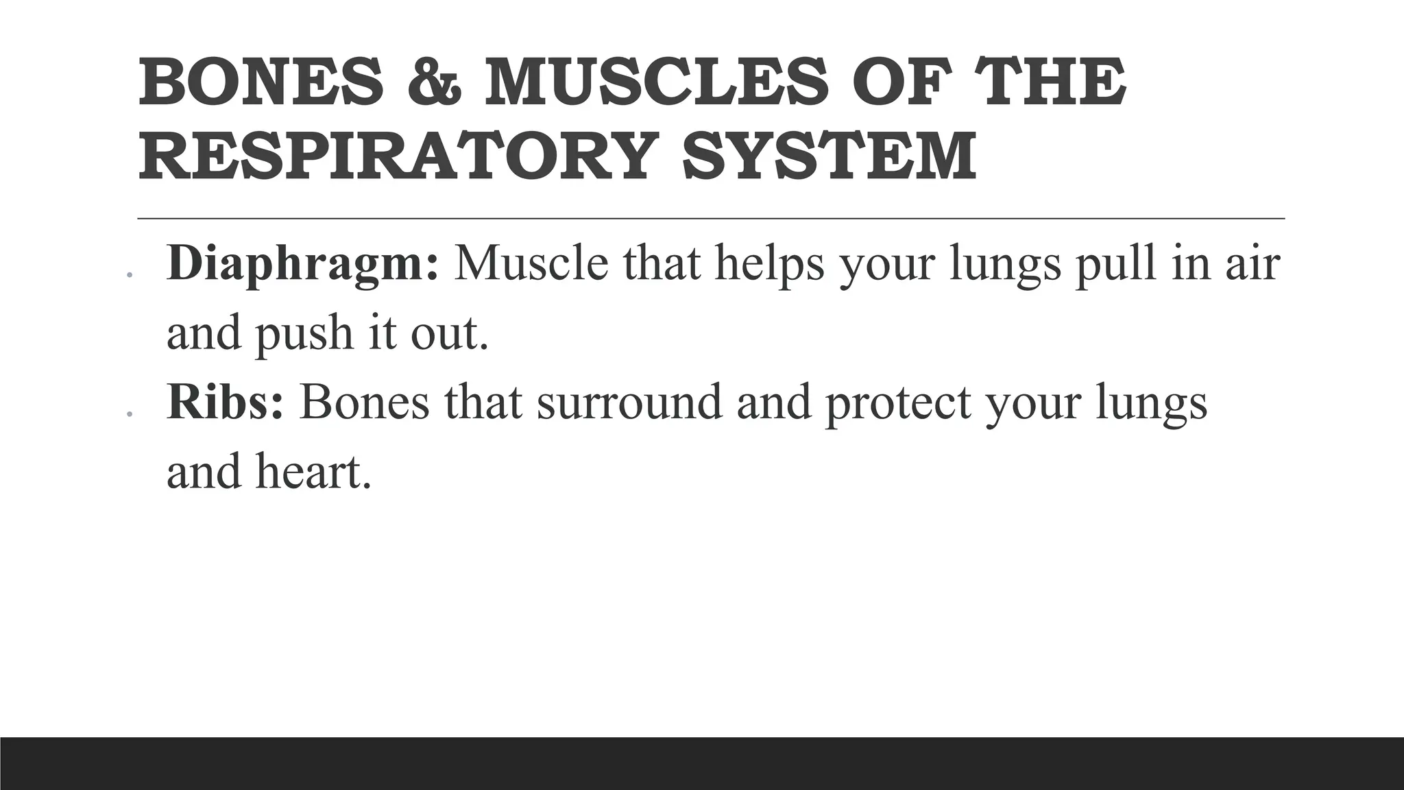BONES & MUSCLES OF THE
RESPIRATORY SYSTEM
 Diaphragm: Muscle that helps your lungs pull in air
and push it out.
 Ribs: Bones that surround and protect your lungs
and heart.
 