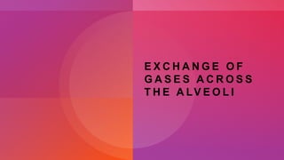 E X C H A N G E O F
G A S E S A C R O S S
T H E A LV E O L I
 