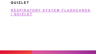 Q U I Z L E T
R E S P I R AT O R Y S Y S T E M F L A S H C A R D S
| Q U I Z L E T
19
 