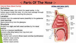 -: Parts Of The Nose :-
Internal Nose (Nasal Cavity)
Definition
The internal nose, also called the nasal cavity, is the
hollow space inside the nose. It is the main passage through
which air flows before reaching the pharynx.
Location
Extends from the external nares (nostrils) to the posterior
nasal openings
Opens posteriorly into the pharynx.
Structure
Divided into right and left nasal cavities by the nasal
septum.
Lined by a mucous membrane.
Contains cilia (tiny hairs) that trap dust and
microorganisms.
The lateral wall contains three nasal conchae (turbinates):
Superior nasal concha
Middle nasal concha
Inferior nasal concha
 
