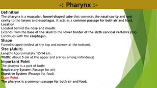 -: Pharynx :-
Definition
The pharynx is a muscular, funnel-shaped tube that connects the nasal cavity and oral
cavity to the larynx and esophagus. It acts as a common passage for both air and food.
Location
Located behind the nose and mouth.
Extends from the base of the skull to the lower border of the sixth cervical vertebra (C6).
Continues with the esophagus.
Shape
Funnel-shaped (widest at the top and narrow at the bottom).
Size (Adult)
Length: Approximately 12–14 cm.
Width: About 5 cm at the upper end (varies among individuals).
Important Point
The pharynx is a part of both:
Respiratory System (Passage for air)
Digestive System (Passage for food)
Exam Point
The pharynx is a common passage for both air and food.
 