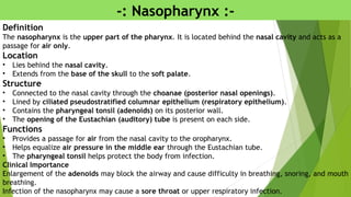 Definition
The nasopharynx is the upper part of the pharynx. It is located behind the nasal cavity and acts as a
passage for air only.
Location
• Lies behind the nasal cavity.
• Extends from the base of the skull to the soft palate.
Structure
• Connected to the nasal cavity through the choanae (posterior nasal openings).
• Lined by ciliated pseudostratified columnar epithelium (respiratory epithelium).
• Contains the pharyngeal tonsil (adenoids) on its posterior wall.
• The opening of the Eustachian (auditory) tube is present on each side.
Functions
• Provides a passage for air from the nasal cavity to the oropharynx.
• Helps equalize air pressure in the middle ear through the Eustachian tube.
• The pharyngeal tonsil helps protect the body from infection.
Clinical Importance
Enlargement of the adenoids may block the airway and cause difficulty in breathing, snoring, and mouth
breathing.
Infection of the nasopharynx may cause a sore throat or upper respiratory infection.
-: Nasopharynx :-
 
