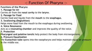 -: Function Of Pharynx :-
Functions of the Pharynx
1. Passage for Air
Carries air from the nasal cavity to the larynx.
2. Passage for Food
Carries food and liquids from the mouth to the esophagus.
3. Swallowing (Deglutition)
Helps move food from the mouth to the esophagus during swallowing.
4. Voice Resonance
Acts as a resonating chamber and improves the quality of the voice.
5. Protection
Pharyngeal and palatine tonsils help protect the body from microorganisms.
6. Pressure Equalization
The Eustachian tube opens into the nasopharynx and helps maintain equal air pressure
in the middle ear.
 