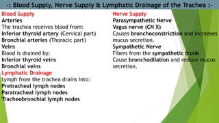 -: Blood Supply, Nerve Supply & Lymphatic Drainage of the Trachea :-
Blood Supply
Arteries
The trachea receives blood from:
Inferior thyroid artery (Cervical part)
Bronchial arteries (Thoracic part)
Veins
Blood is drained by:
Inferior thyroid veins
Bronchial veins
Lymphatic Drainage
Lymph from the trachea drains into:
Pretracheal lymph nodes
Paratracheal lymph nodes
Tracheobronchial lymph nodes
Nerve Supply
Parasympathetic Nerve
Vagus nerve (CN X)
Causes bronchoconstriction and increases
mucus secretion.
Sympathetic Nerve
Fibers from the sympathetic trunk
Cause bronchodilation and reduce mucus
secretion.
 