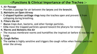 -:Functions & Clinical Importance of the Trachea :-
1. Air Passage
• Provides a passage for air between the larynx and the bronchi.
2. Maintains an Open Airway
• C-shaped hyaline cartilage rings keep the trachea open and prevent it from
collapsing during breathing.
3. Filters the Air
• Mucus traps dust, bacteria, and other foreign particles.
• Cilia move the trapped particles upward toward the pharynx for removal.
4. Warms and Moistens the Air
• The mucous membrane warms and humidifies the inspired air before it reaches the
lungs.
5. Cough Reflex
• The carina is highly sensitive and triggers the cough reflex when foreign particles
enter the airway.
 