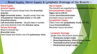 -: Blood Supply, Nerve Supply & Lymphatic Drainage of the Bronchi :-
Blood Supply
Arterial Supply
The bronchi receive blood from the bronchial
arteries.
Right bronchial artery – Usually arises from the
3rd posterior intercostal artery or the left
bronchial artery.
Left bronchial arteries – Usually two in number
and arise directly from the thoracic aorta.
Venous Drainage
Blood is drained by:
Bronchial veins
Some blood also drains into the pulmonary veins.
Nerve Supply
The bronchi are supplied by the pulmonary plexus.
Parasympathetic Supply
Vagus nerve (CN X)
Causes bronchoconstriction
Increases mucus secretion
Sympathetic Supply
Fibers from the sympathetic trunk (T1–T5)
Cause bronchodilation
Decrease mucus secretion
Lymphatic Drainage
Lymph from the bronchi drains into:
• Pulmonary lymph nodes
• Bronchopulmonary (Hilar) lymph nodes
• Tracheobronchial lymph nodes
• Paratracheal lymph nodes
 