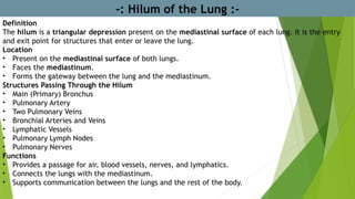 -: Hilum of the Lung :-
Definition
The hilum is a triangular depression present on the mediastinal surface of each lung. It is the entry
and exit point for structures that enter or leave the lung.
Location
• Present on the mediastinal surface of both lungs.
• Faces the mediastinum.
• Forms the gateway between the lung and the mediastinum.
Structures Passing Through the Hilum
• Main (Primary) Bronchus
• Pulmonary Artery
• Two Pulmonary Veins
• Bronchial Arteries and Veins
• Lymphatic Vessels
• Pulmonary Lymph Nodes
• Pulmonary Nerves
Functions
• Provides a passage for air, blood vessels, nerves, and lymphatics.
• Connects the lungs with the mediastinum.
• Supports communication between the lungs and the rest of the body.
 