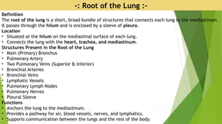 -: Root of the Lung :-
Definition
The root of the lung is a short, broad bundle of structures that connects each lung to the mediastinum.
It passes through the hilum and is enclosed by a sleeve of pleura.
Location
• Situated at the hilum on the mediastinal surface of each lung.
• Connects the lung with the heart, trachea, and mediastinum.
Structures Present in the Root of the Lung
• Main (Primary) Bronchus
• Pulmonary Artery
• Two Pulmonary Veins (Superior & Inferior)
• Bronchial Arteries
• Bronchial Veins
• Lymphatic Vessels
• Pulmonary Lymph Nodes
• Pulmonary Nerves
• Pleural Sleeve
Functions
• Anchors the lung to the mediastinum.
• Provides a pathway for air, blood vessels, nerves, and lymphatics.
• Supports communication between the lungs and the rest of the body.
 