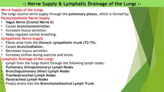 -: Nerve Supply & Lymphatic Drainage of the Lungs :-
Nerve Supply of the Lungs
The lungs receive nerve supply through the pulmonary plexus, which is formed by:
Parasympathetic Nerve Supply
• Vagus Nerve (Cranial Nerve X)
• Causes bronchoconstriction.
• Increases mucus secretion.
• Helps regulate normal breathing.
Sympathetic Nerve Supply
• Fibres arise from the thoracic sympathetic trunk (T2–T5).
• Causes bronchodilation.
• Decreases mucus secretion.
• Increases airflow during exercise and stress.
Lymphatic Drainage of the Lungs
• Lymph from the lungs drains through the following lymph nodes:
• Pulmonary (Intrapulmonary) Lymph Nodes
• Bronchopulmonary (Hilar) Lymph Nodes
• Tracheobronchial Lymph Nodes
• Paratracheal Lymph Nodes
• Finally drains into the Bronchomediastinal Lymph Trunk.
 