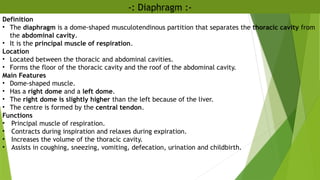 -: Diaphragm :-
Definition
• The diaphragm is a dome-shaped musculotendinous partition that separates the thoracic cavity from
the abdominal cavity.
• It is the principal muscle of respiration.
Location
• Located between the thoracic and abdominal cavities.
• Forms the floor of the thoracic cavity and the roof of the abdominal cavity.
Main Features
• Dome-shaped muscle.
• Has a right dome and a left dome.
• The right dome is slightly higher than the left because of the liver.
• The centre is formed by the central tendon.
Functions
• Principal muscle of respiration.
• Contracts during inspiration and relaxes during expiration.
• Increases the volume of the thoracic cavity.
• Assists in coughing, sneezing, vomiting, defecation, urination and childbirth.
 