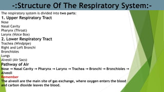 -:Structure Of The Respiratory System:-
The respiratory system is divided into two parts:
1. Upper Respiratory Tract
Nose
Nasal Cavity
Pharynx (Throat)
Larynx (Voice Box)
2. Lower Respiratory Tract
Trachea (Windpipe)
Right and Left Bronchi
Bronchioles
Lungs
Alveoli (Air Sacs)
Pathway of Air
Nose Nasal Cavity Pharynx Larynx Trachea Bronchi Bronchioles
→ → → → → → →
Alveoli
Remember
The alveoli are the main site of gas exchange, where oxygen enters the blood
and carbon dioxide leaves the blood.
 