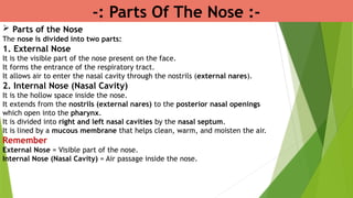 -: Parts Of The Nose :-
 Parts of the Nose
The nose is divided into two parts:
1. External Nose
It is the visible part of the nose present on the face.
It forms the entrance of the respiratory tract.
It allows air to enter the nasal cavity through the nostrils (external nares).
2. Internal Nose (Nasal Cavity)
It is the hollow space inside the nose.
It extends from the nostrils (external nares) to the posterior nasal openings
which open into the pharynx.
It is divided into right and left nasal cavities by the nasal septum.
It is lined by a mucous membrane that helps clean, warm, and moisten the air.
Remember
External Nose = Visible part of the nose.
Internal Nose (Nasal Cavity) = Air passage inside the nose.
 