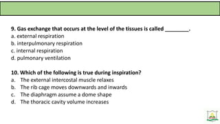 THE RESPIRATORY SYSTEM-New.pptx