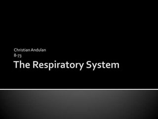 The Respiratory System Christian Andulan 8-73 