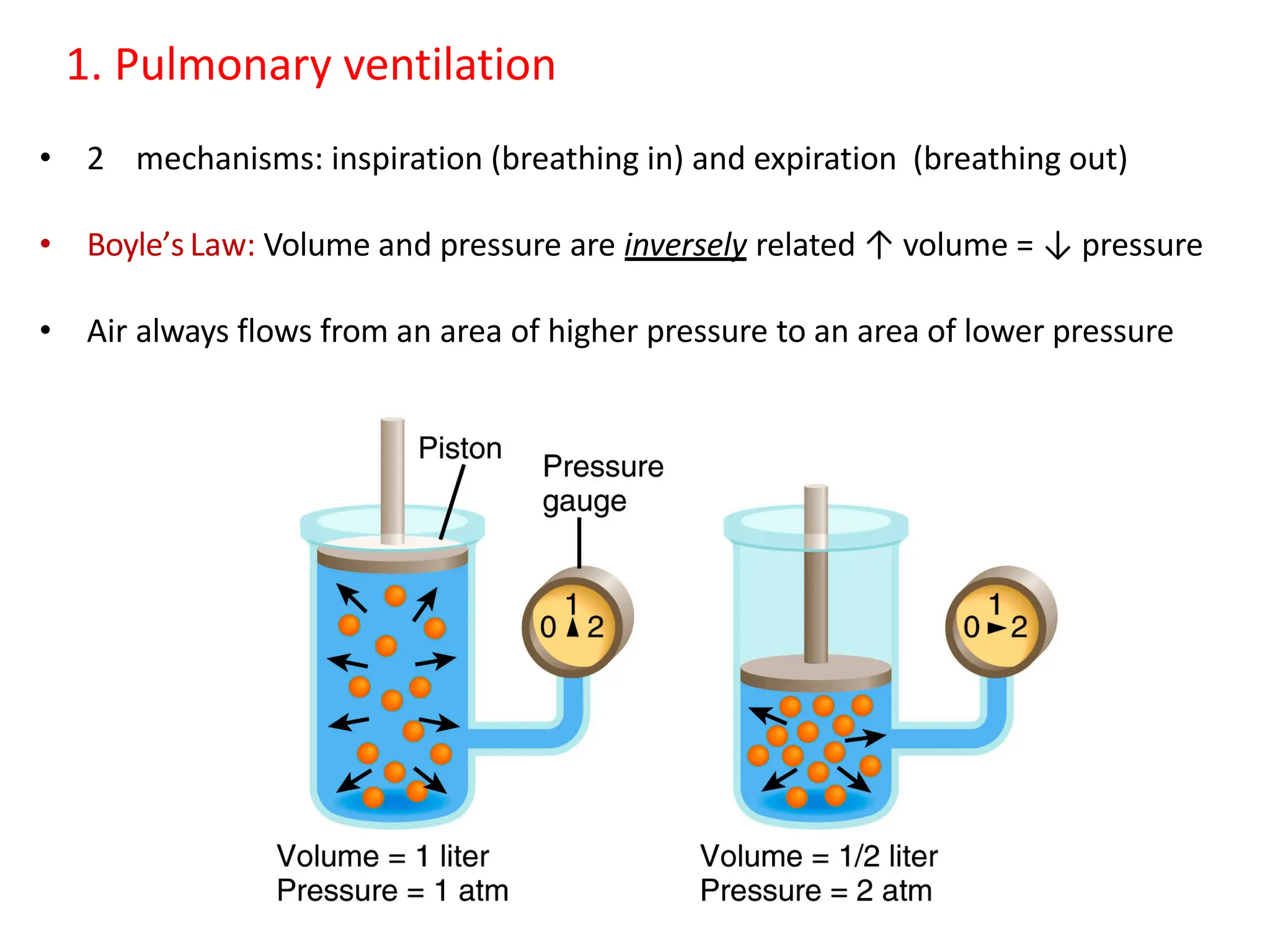 1. Pulmonary ventilation
• 2 mechanisms: inspiration (breathing in) and expiration (breathing out)
• Boyle’s Law: Volume and pressure are inversely related ↑ volume = ↓ pressure
• Air always flows from an area of higher pressure to an area of lower pressure
 
