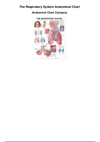 The Respiratory System Anatomical Chart
Anatomical Chart Company
 