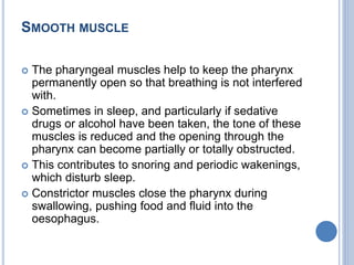The respiratory system [Autosaved].pptx