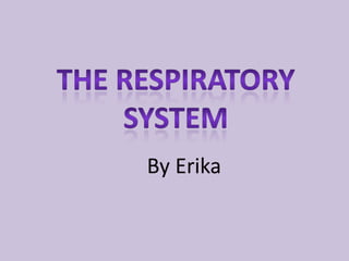 The Respiratory system By Erika  