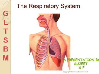 The Respiratory System




                Copyright Pearson Prentice Hall
 