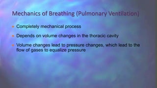  Completely mechanical process
 Depends on volume changes in the thoracic cavity
 Volume changes lead to pressure changes, which lead to the
flow of gases to equalize pressure
Mechanics of Breathing (Pulmonary Ventilation)
 