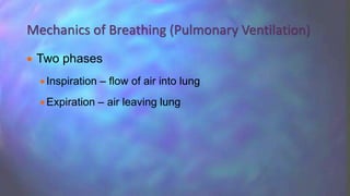  Two phases
Inspiration – flow of air into lung
Expiration – air leaving lung
Mechanics of Breathing (Pulmonary Ventilation)
 
