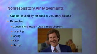  Can be caused by reflexes or voluntary actions
 Examples
 Cough and sneeze – clears lungs of debris
 Laughing
 Crying
 Yawn
 Hiccup
Nonrespiratory Air Movements
 