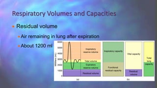 Residual volume
Air remaining in lung after expiration
About 1200 ml
Respiratory Volumes and Capacities
 