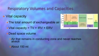  Vital capacity
The total amount of exchangeable air
Vital capacity = TV + IRV + ERV
Dead space volume
 Air that remains in conducting zone and never reaches
alveoli
 About 150 ml
Respiratory Volumes and Capacities
 