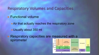  Functional volume
Air that actually reaches the respiratory zone
Usually about 350 ml
 Respiratory capacities are measured with a
spirometer
Respiratory Volumes and Capacities
 