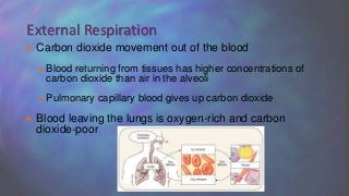  Carbon dioxide movement out of the blood
 Blood returning from tissues has higher concentrations of
carbon dioxide than air in the alveoli
 Pulmonary capillary blood gives up carbon dioxide
 Blood leaving the lungs is oxygen-rich and carbon
dioxide-poor
External Respiration
 