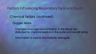  Chemical factors (continued)
Oxygen levels
 Changes in oxygen concentration in the blood are
detected by chemoreceptors in the aorta and carotid artery
 Information is sent to the medulla oblongata
Factors Influencing Respiratory Rate and Depth
 
