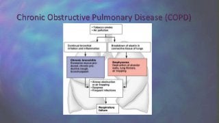 Chronic Obstructive Pulmonary Disease (COPD)
 