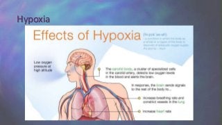 Hypoxia
 
