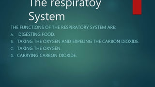 The respiratoy
System
THE FUNCTIONS OF THE RESPIRATORY SYSTEM ARE:
A. DIGESTING FOOD.
B. TAKING THE OXYGEN AND EXPELING THE CARBON DIOXIDE.
C. TAKING THE OXYGEN.
D. CARRYING CARBON DIOXIDE.
 