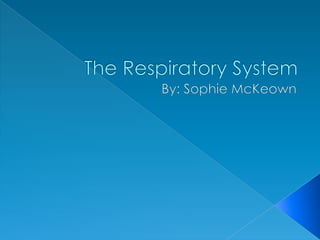 The Respiratory System  By: Sophie McKeown  