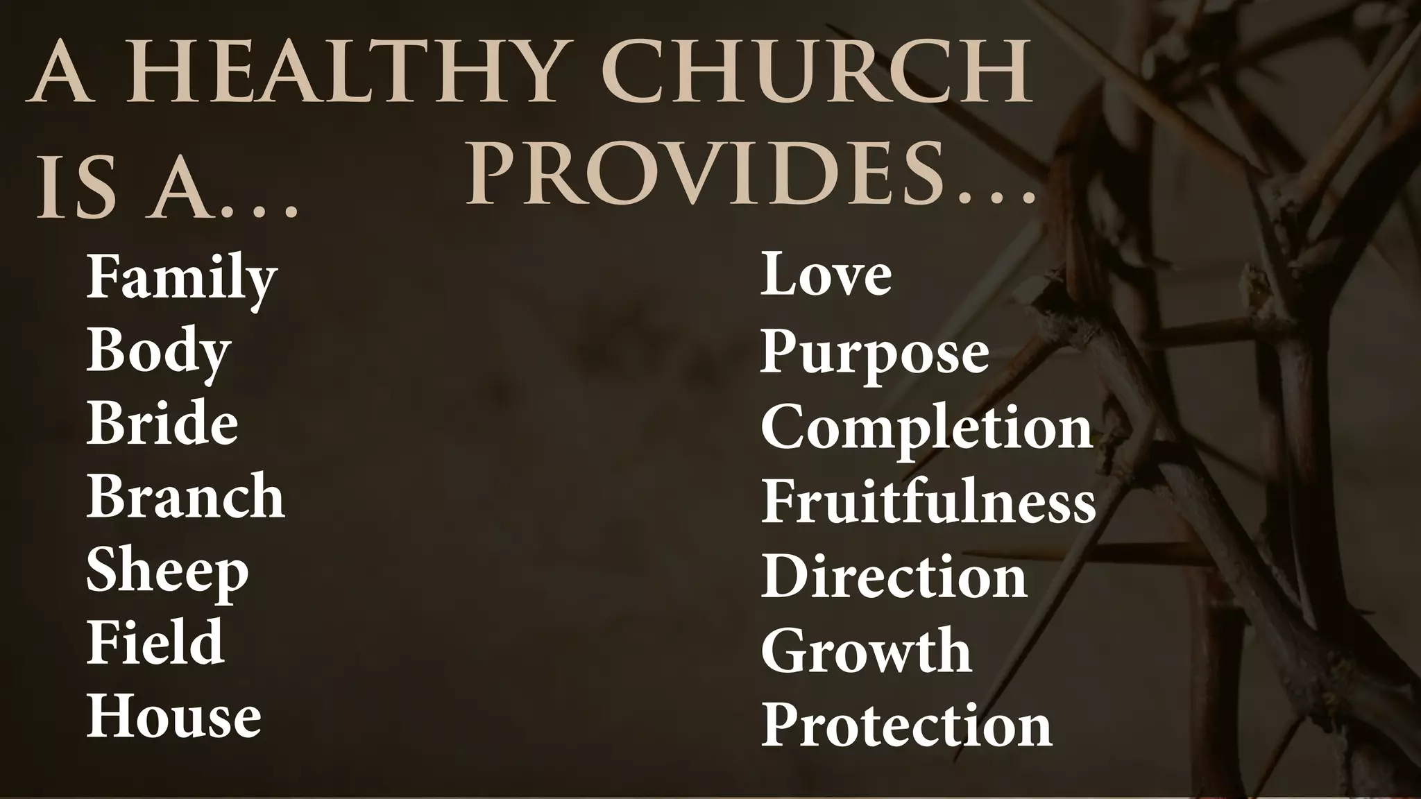 Family
Body
Bride
Branch
Sheep
Field
House
a healthy church
is a… provides…
Love
Purpose
Completion
Fruitfulness
Direction
Growth
Protection
 