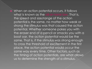 The  Resting  Potential And The  Action  Potential