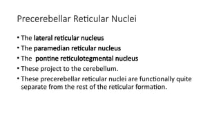 Comprehensive Overview of the Reticular Formation: Anatomy, Functions ...
