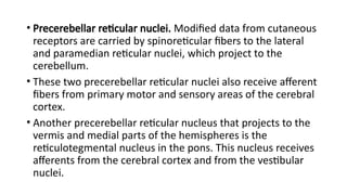 Comprehensive Overview of the Reticular Formation: Anatomy, Functions ...