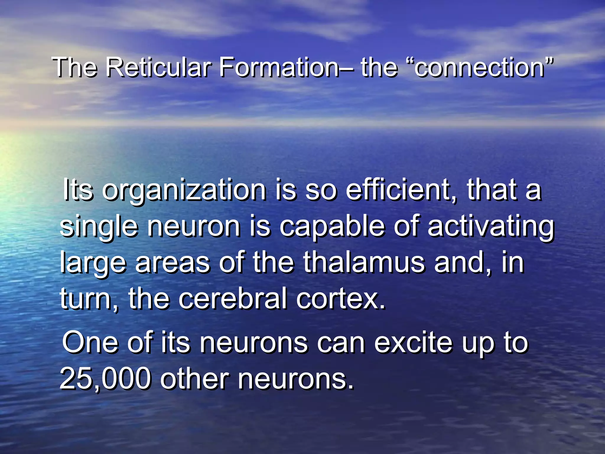 The Reticular Formation– the “connection”



Its organization is so efficient, that a
single neuron is capable of activating
large areas of the thalamus and, in
turn, the cerebral cortex.
One of its neurons can excite up to
25,000 other neurons.
 