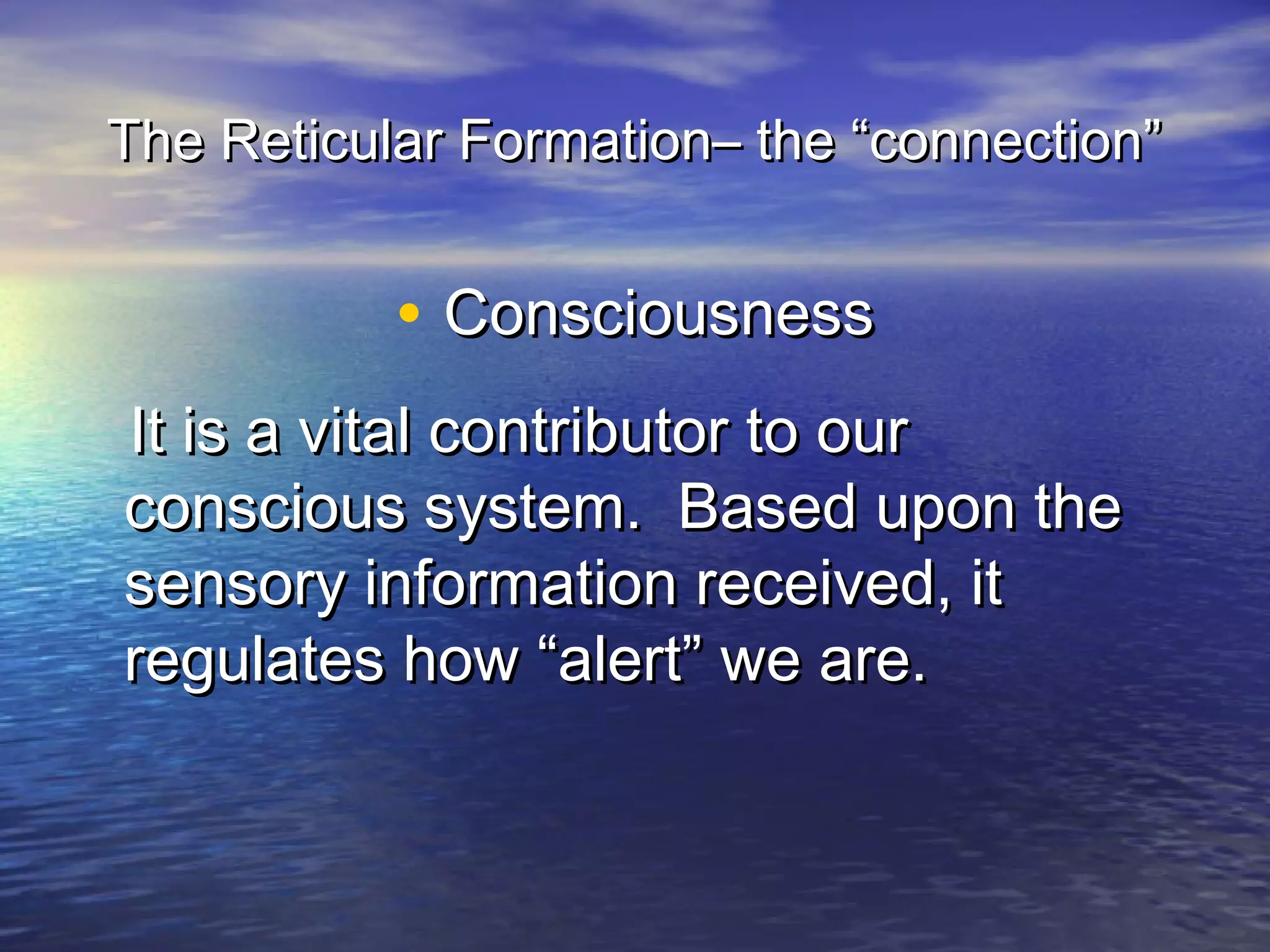 The Reticular Formation– the “connection”


           • Consciousness
It is a vital contributor to our
conscious system. Based upon the
sensory information received, it
regulates how “alert” we are.
 