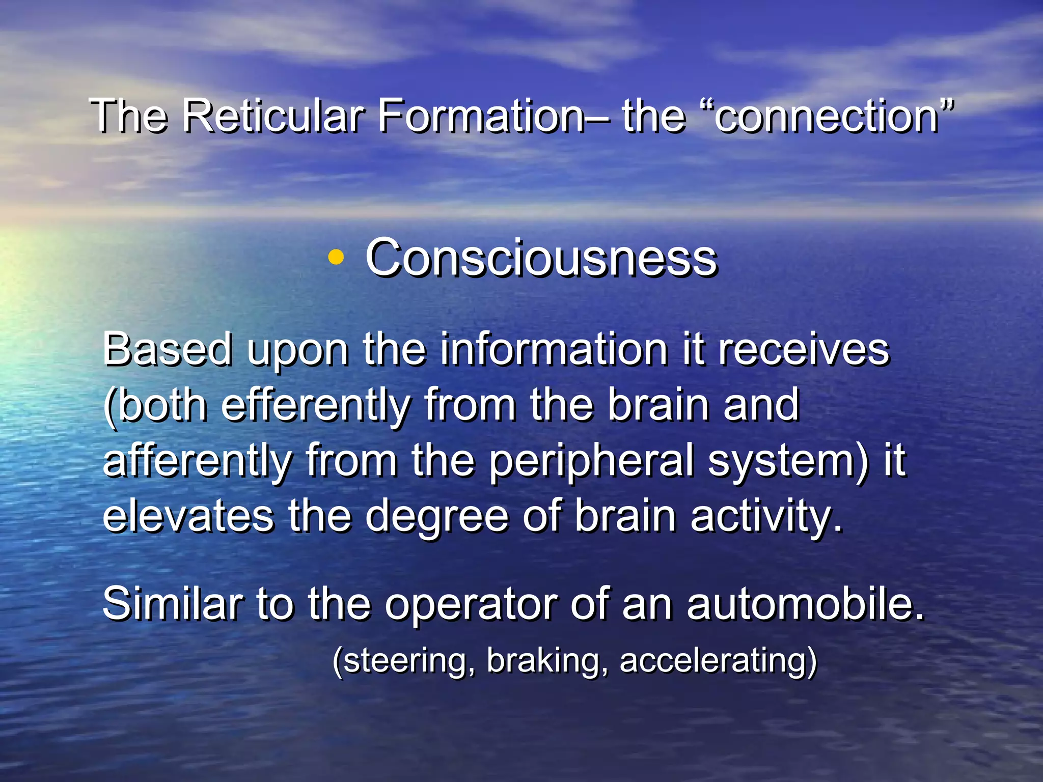The Reticular Formation– the “connection”


           • Consciousness
Based upon the information it receives
(both efferently from the brain and
afferently from the peripheral system) it
elevates the degree of brain activity.
Similar to the operator of an automobile.
           (steering, braking, accelerating)
 
