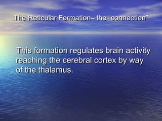 The Reticular Formation– the “connection”



This formation regulates brain activity
reaching the cerebral cortex by way
of the thalamus.
 