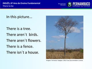 In this picture...
There is a tree.
There aren´t birds.
There aren´t flowers.
There is a fence.
There isn´t a house.
INGLÊS, 6º Ano do Ensino Fundamental
There to be
Imagem: Fernando Tatagiba / GNU Free Documentation License.
 