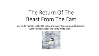 The Return Of The
Beast From The East
How to do Fashion in the UK snow and everything you could possibly
want to know about the fluffy white stuff!
 