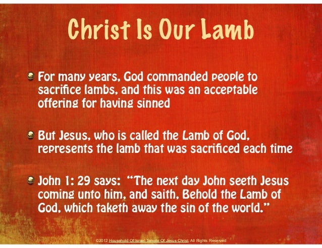 there+was+a+lamb+named+jesus+