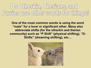 Therians, Otherkin, Furries