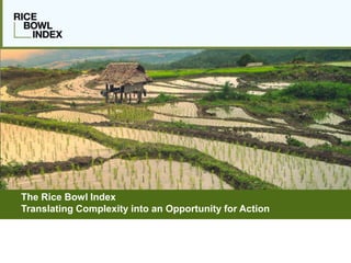 The Rice Bowl Index
Translating Complexity into an Opportunity for Action
 