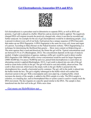 Gel Electrophoresis: Separating DNA and RNA
Gel electrophoresis is a procedure used in laboratories to separate DNA, as well as RNA and
proteins. A gel slab is placed in a buffer–filled box and an electrical field is applied. The negatively
charged DNA will migrate towards the positively charged side, where it can then be recorded and
further analyzed. An example for the use of gel electrophoresis would be in identifying people. DNA
is present in almost every cell of our body. Each person has a unique sequence of DNA base pairs
that makes up our DNA fingerprint. A DNA fingerprint is the same for every cell, tissue and organ
of a person. According to Dalya Rosner on the Naked Scientists website, "DNA fingerprinting is a
technique for determining the likelihood that genetic ... Show more content on Helpwriting.net ...
The more agarose that is used and dissolved, the firmer the gel will be. Typical concentrations used
are between 0.3% to 2% (Buckingham, 2012). The concentration depends on the type of analysis
needed. A higher concentration of agarose, making a stiffer gel, would be used to detect smaller
DNA fragments (100–3000 bp) while a lower concentration would be used for larger fragments
(5000–60,000 bp). For pieces 50,000 bp and over, pulsed field electrophoresis is used where an
alternating current is applied (Buckingham, 2012). A gel comb is placed into one side of the gel
mold to create holes (wells) in the gel. The gel will need to cool and solidify, about an hour. The
comb is then removed, which leaves the empty wells in the gel. Buffer is poured into the
electrophoresis box, usually a horizontal acrylic container. The gel, still in the mold, is placed into
the buffer inside the box. The gel is slightly submerged in the buffer which will conduct the
electrical current in the gel. With a micropipette and a new pipet tip, a loading buffer, which
increases the density of the sample, is added to the DNA sample in a tube. The DNA sample is
colorless, so a tracking dye, such as bromophenol blue or xylene cyanol is used to visually track the
DNA movement. The dye migrates at a specific speed similar to the DNA. The sample is then
transferred into the first well in the gel. With a new clean
... Get more on HelpWriting.net ...
 